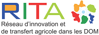 Logo RITA