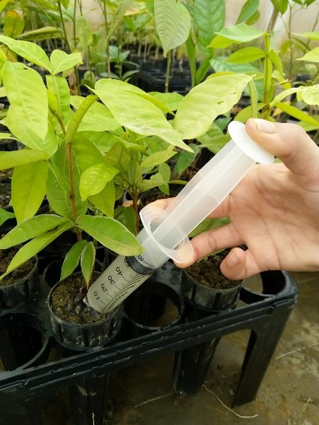 Energies renouvelables biomasse