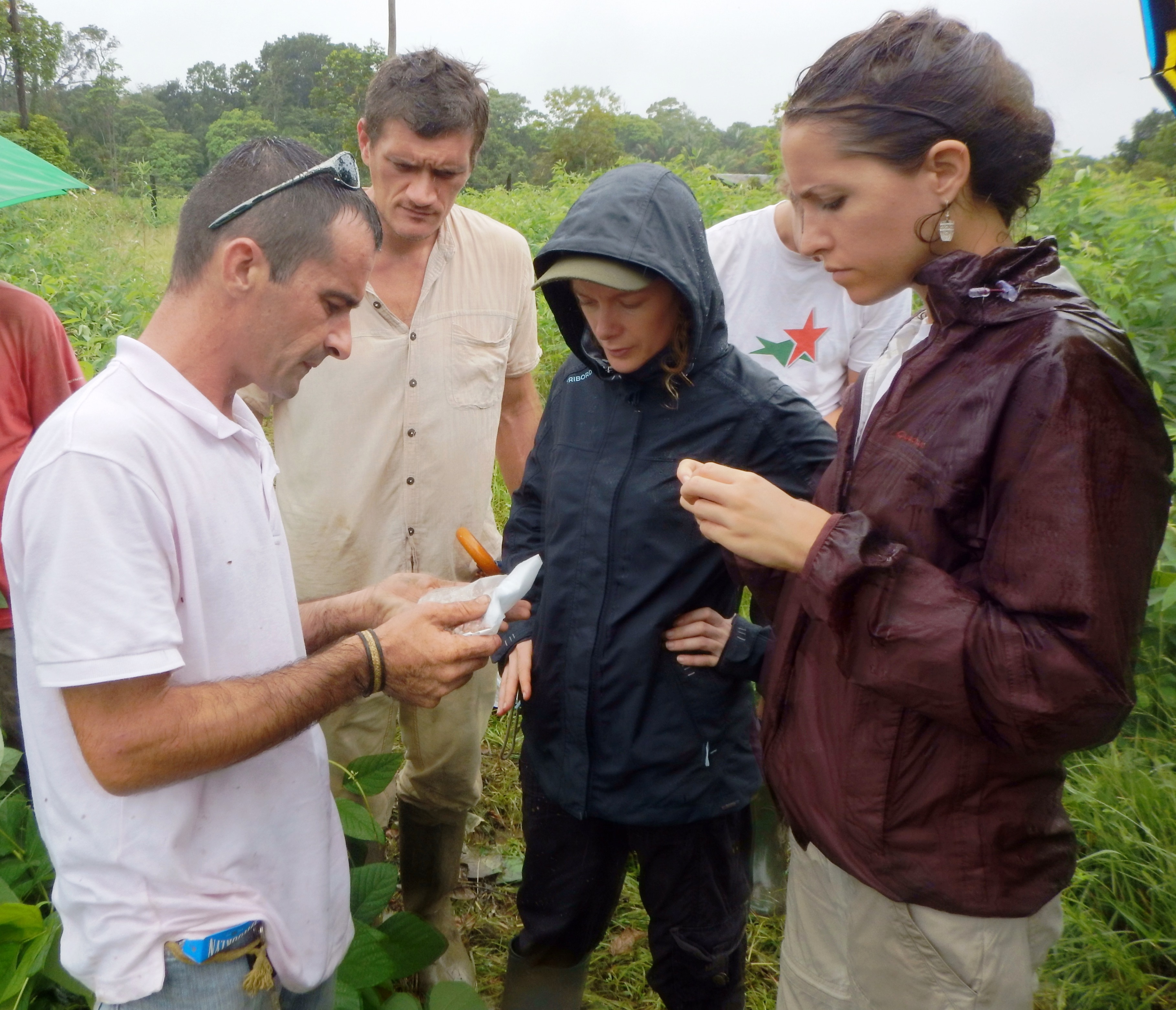 Theme day on legumes at the CFPPA in Matiti (23.01.2016)