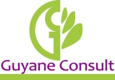 guyane consult