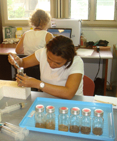 laboratoire solicaz