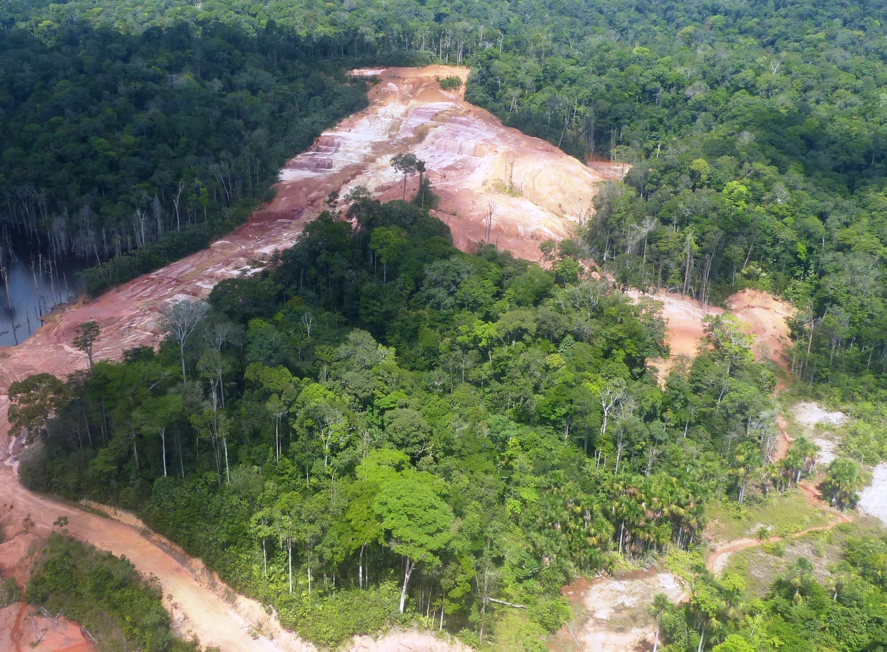 The visiting of revegetated sites by Solicaz during the experimentation of the Guyafix project