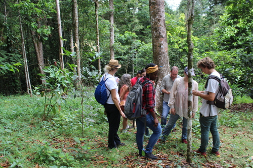 Visite de Terrain