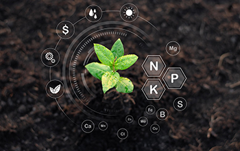 Agriculture éco-efficiente