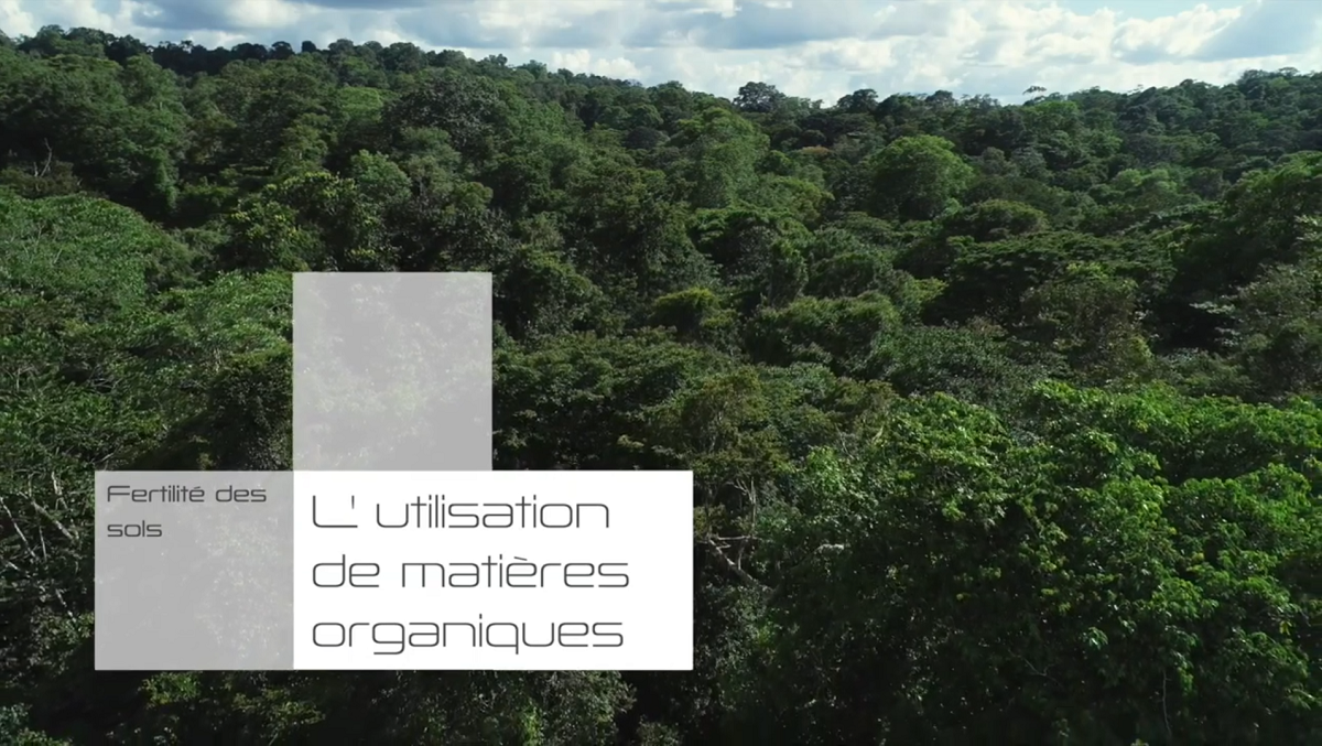 Programme de gestion de la fertilité organique des sols, Réseau d’Innovation et de Transfert Agricole (RITA) – 2020