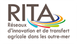 RITA