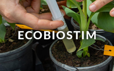 Projet Ecobiostim