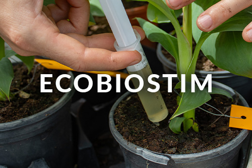 Projet Ecobiostim