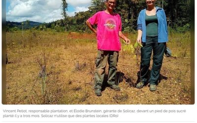 Solicaz, l’envol d’une start-up qui redonne vie à la forêt