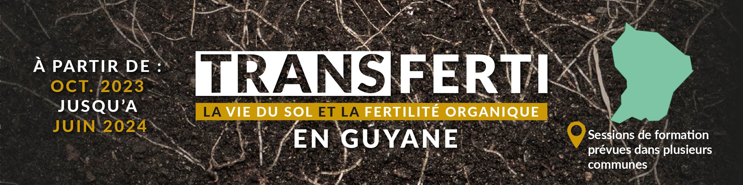 Transferti_mobile