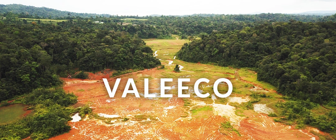 Valeeco