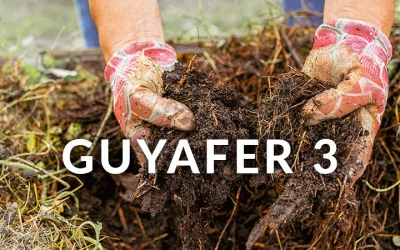 GUYAFER 3