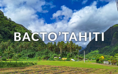 Protégé : BactO’Tahiti