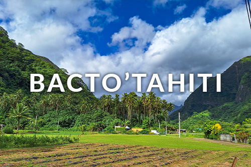 Protégé : BactO’Tahiti
