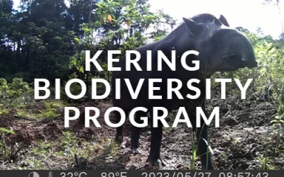 Kering Biodiversity Program 2