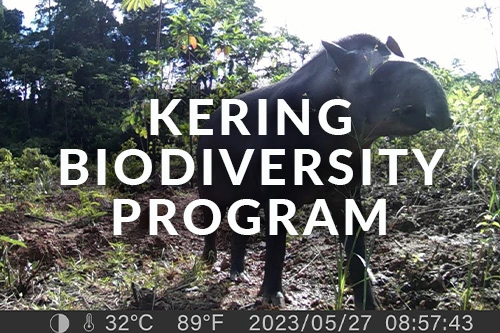 Kering Biodiversity Program 2