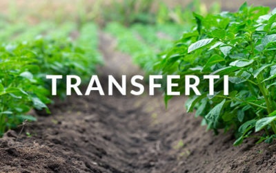 TRANSFERTI