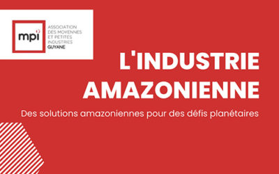 MPI Guyane : Mesures pour l’Industrie Amazonienne