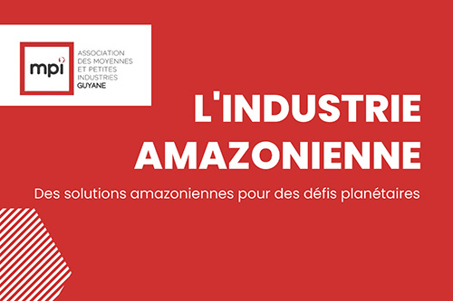 MPI Guyane : Mesures pour l’Industrie Amazonienne